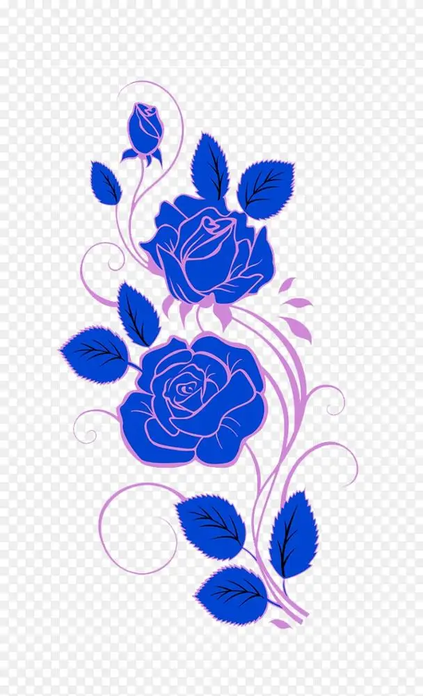 海滩玫瑰科蔷薇蓝玫瑰-蓝玫瑰