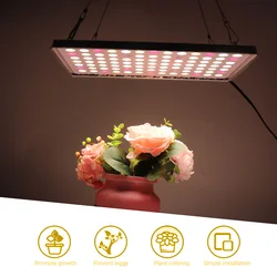 Lampe horticole de croissance Quantum 91led BORUiT, 450W, spectre complet, éclairage pour serre/chambre de culture hydroponique de plantes, semis 
