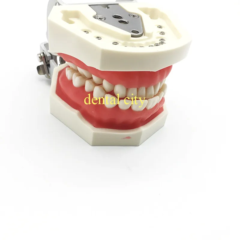 Бесплатная доставка зубы обучающая модель зубные мягкие gingiva 200 H тип съемные зубы модель