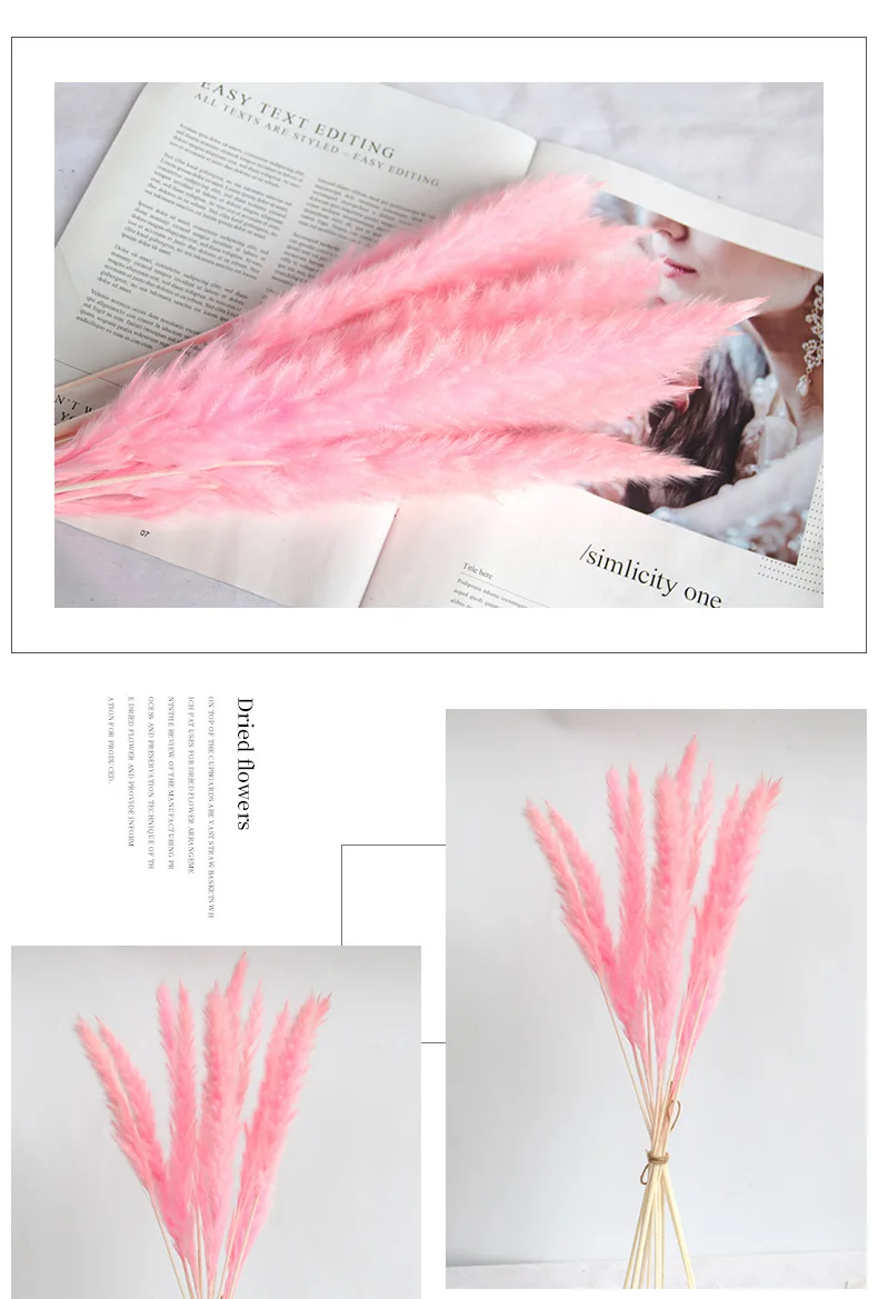 H072c98b2154a44309c199f74a4124193A