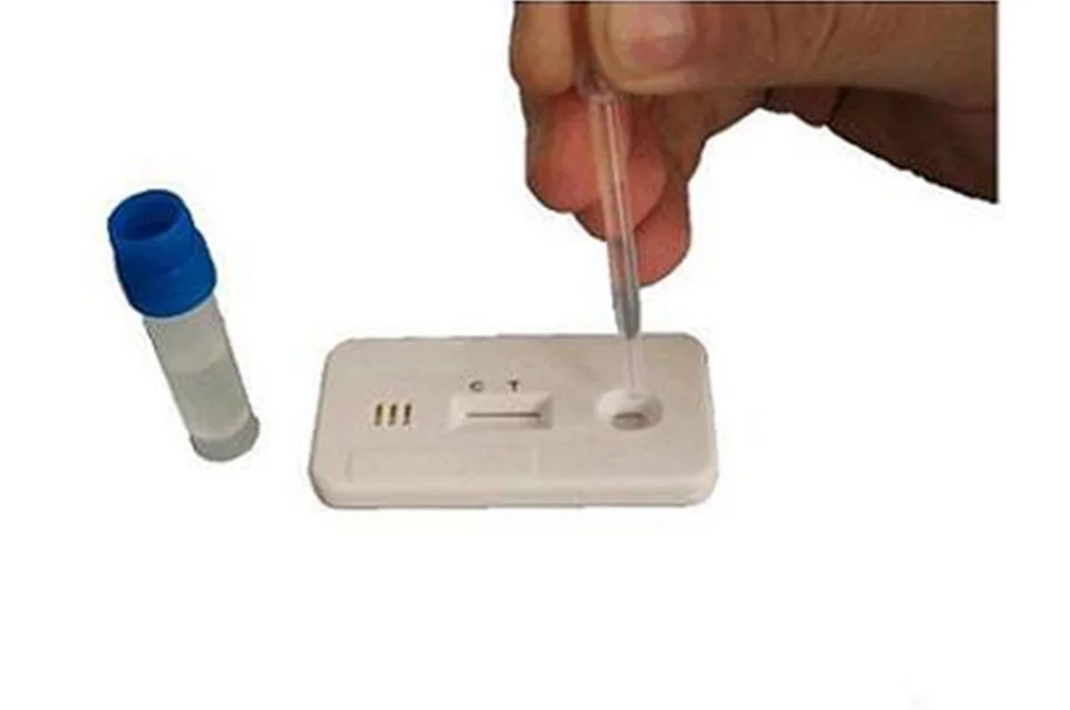 Ветеринарный экспресс-тест на токсоплазму для кошек gondii antigen Ag