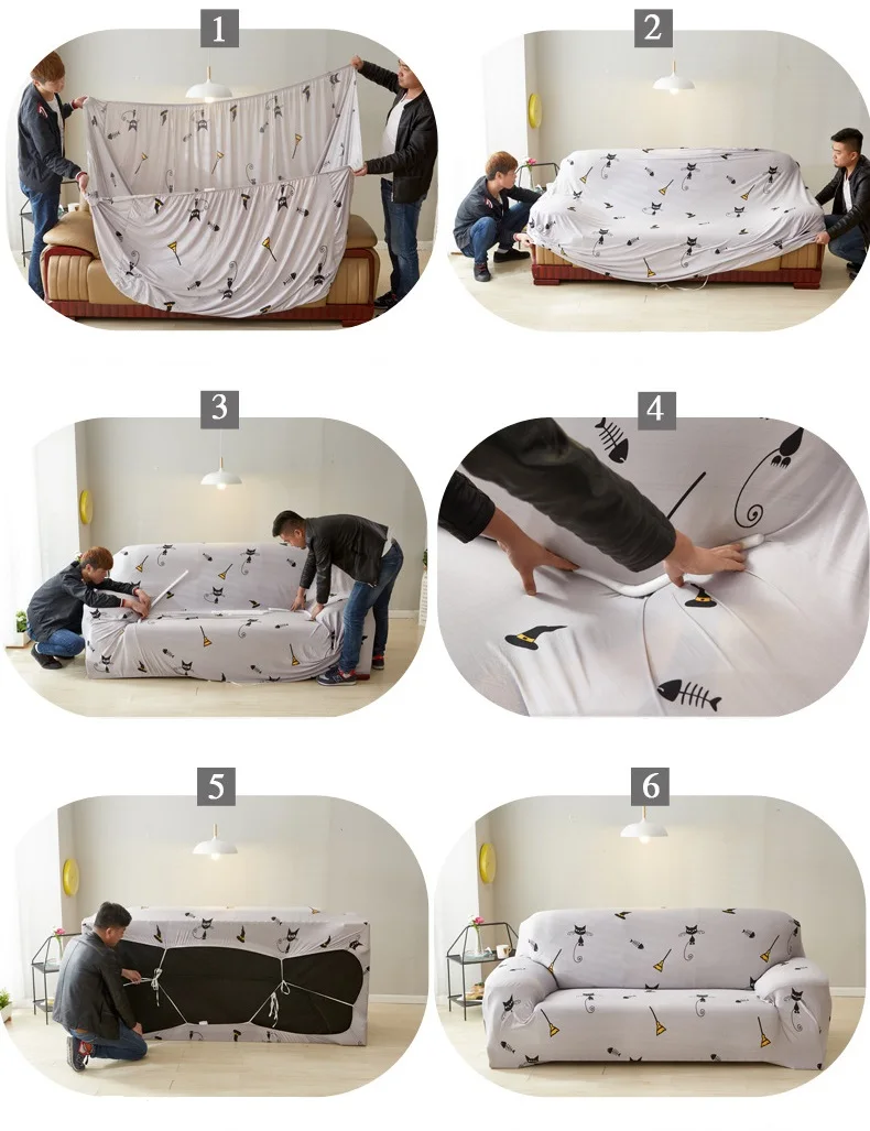 11765507407_1690726818