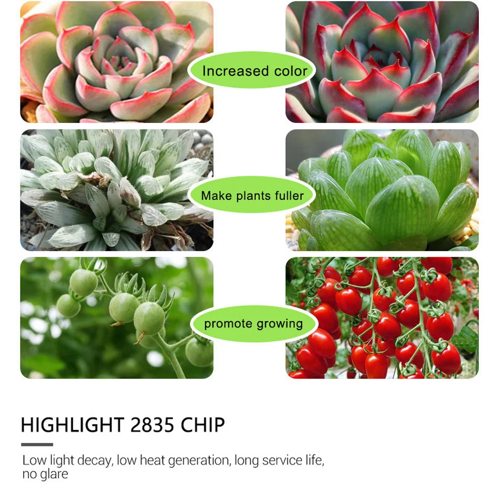 FOXGBF LED Full-spectrum light belt to promote plant growth, sunlight effect, indoor planting succulent and leafy plate planting (5)