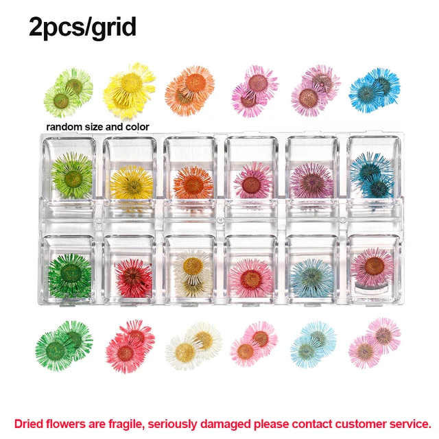 1Box Dried Flowers Dry Plants for Rsein Molds Fillings Epoxy Resin Pendant Tweezers Jewelry Making Craft DIY Nail Art Decoration Style20