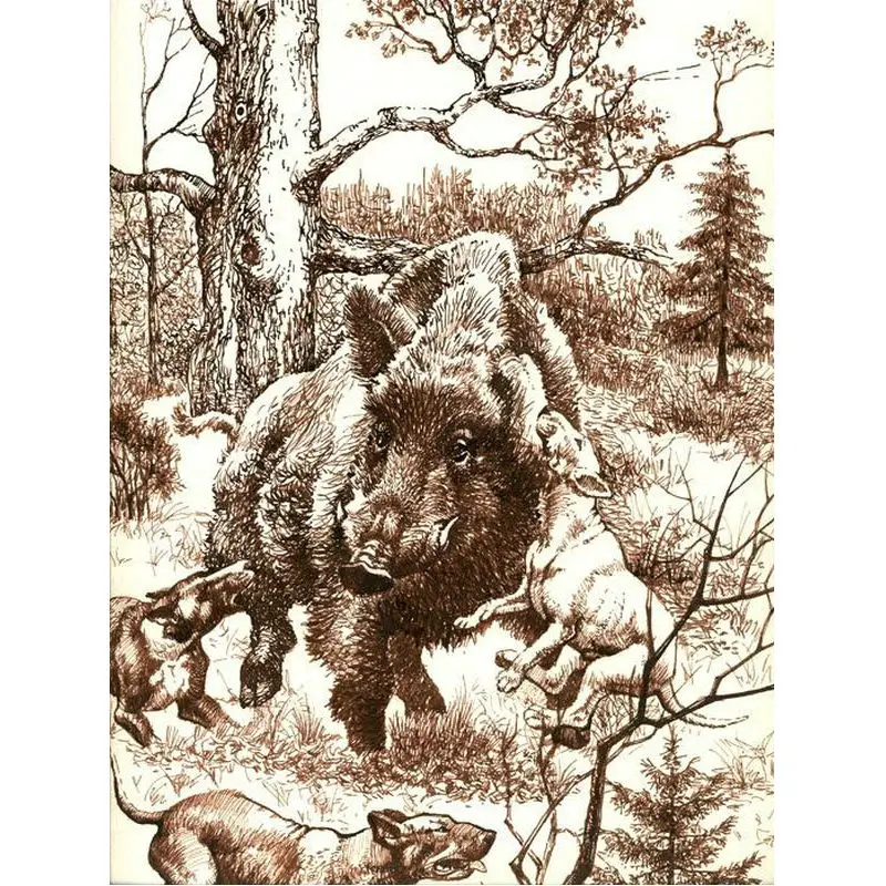 4fafbd5ce58111aaa9d79e1e9e630572