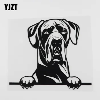 

YJZT 17.5CMX15.6CM Funny Great Dane Dog Decal Peeking Dog Vinyl Car Sticker Black/Silver 8A-0044