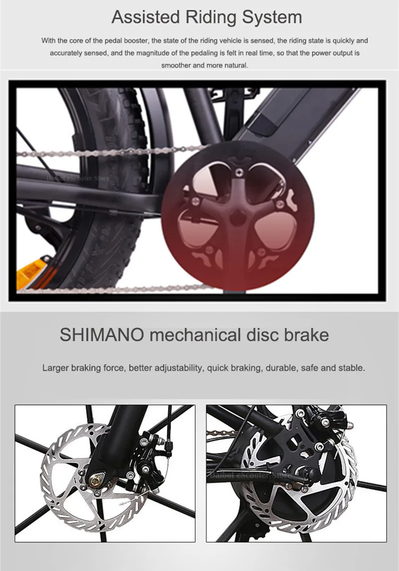 Daibot Off Road Electric Bike 500W 48V Two Wheels Electric Bicycles 26 Inch 4.0 Wide Tires Mountain Electric Scooters Adults  (7)