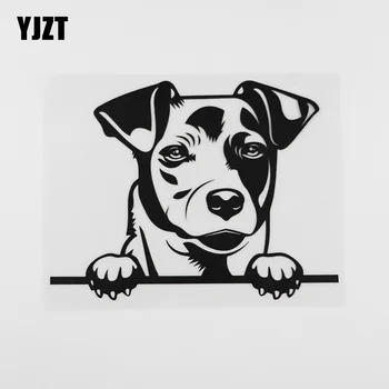 

YJZT 17.5CMX13.6CM Jack Russell Dog Peeking Decal Vinyl Waterproof Car Sticker Black/Silver 8A-0048