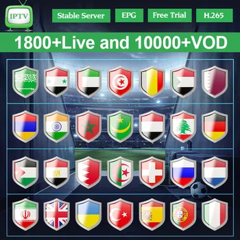 

QHDTV Arabic Belgium IPTV Subscription 1 Year Portugal Code IPTV Spain M3U IPTV Italy Tunisia Morocco Algeria 4k Nederland IP TV