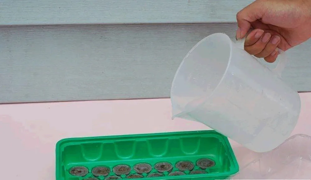 edebe725ab5d3a0a5e81d8097e5a8dd