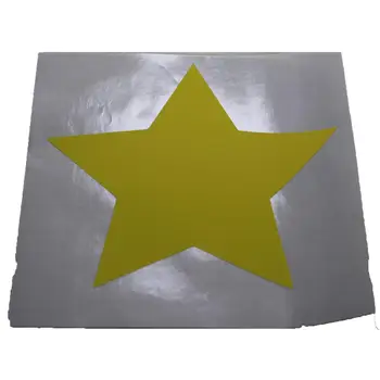 

12cm Large Neon Yellow Star Sticker - Multi neon Fluorescent colors options available