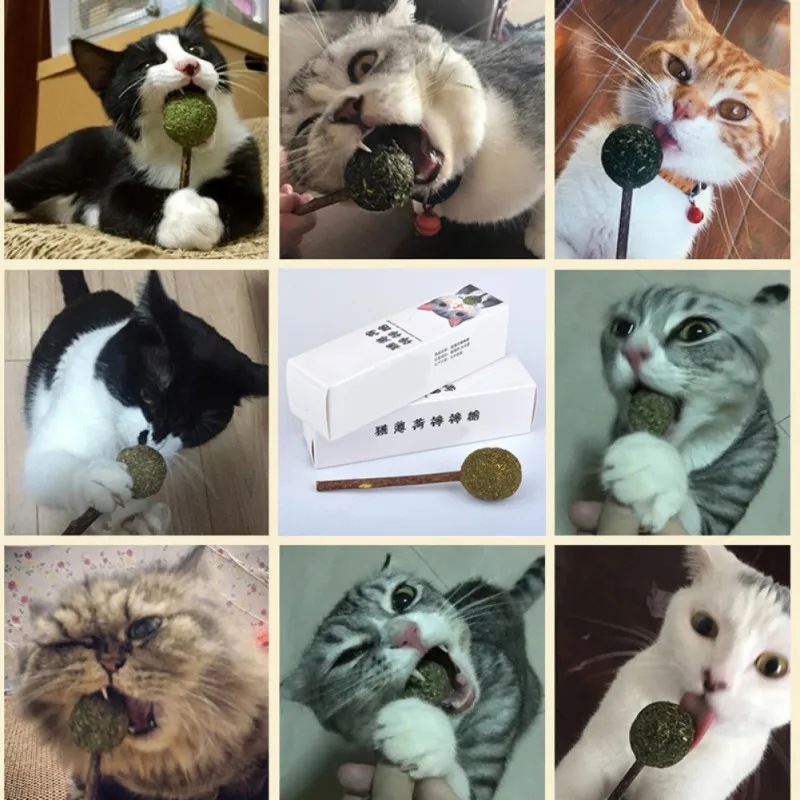 Pet Cat Catnip леденец мяч палка Catnip мяч палка игрушки Очистка зубов лакомства кошка игрушка котята коты любовь игра игрушка уход