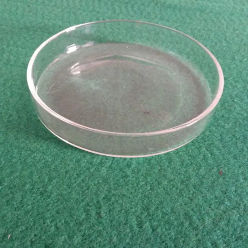 Бактерии грибки культура блюдо высокого боросиликатного Петри науки