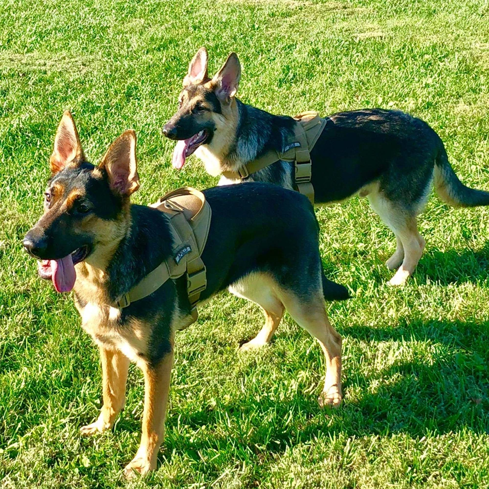 Военный Тактический поводок для собак патруль K9 Рабочая ошейник для домашних животных Малый крепление на большого собаку Услуги жилет для собаки с ручкой товары для домашних животных