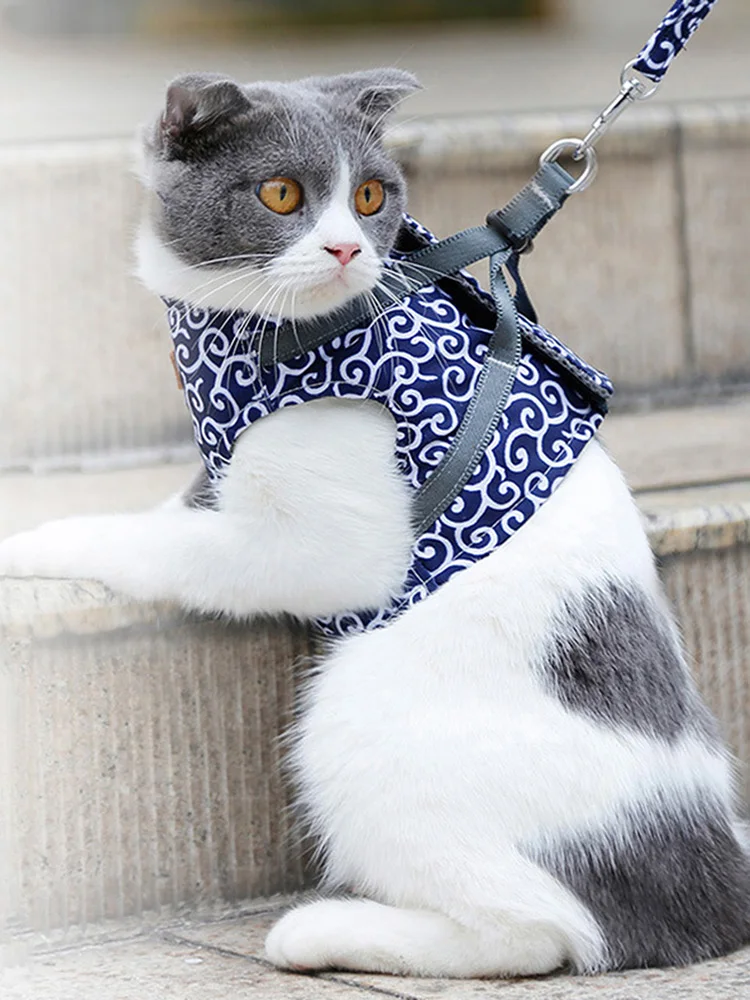 

Cat Harness Leash Set Cat Dogs Vest Harness And Leash Escape Proof Chest Strap Cat Dogs Clothes For Pet Clothing