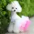 Одежда для собак для Маленьких собак Платье Sweety Princess Dress That Seasons Puppy Lace Princess Apparel Chihuahua Dog