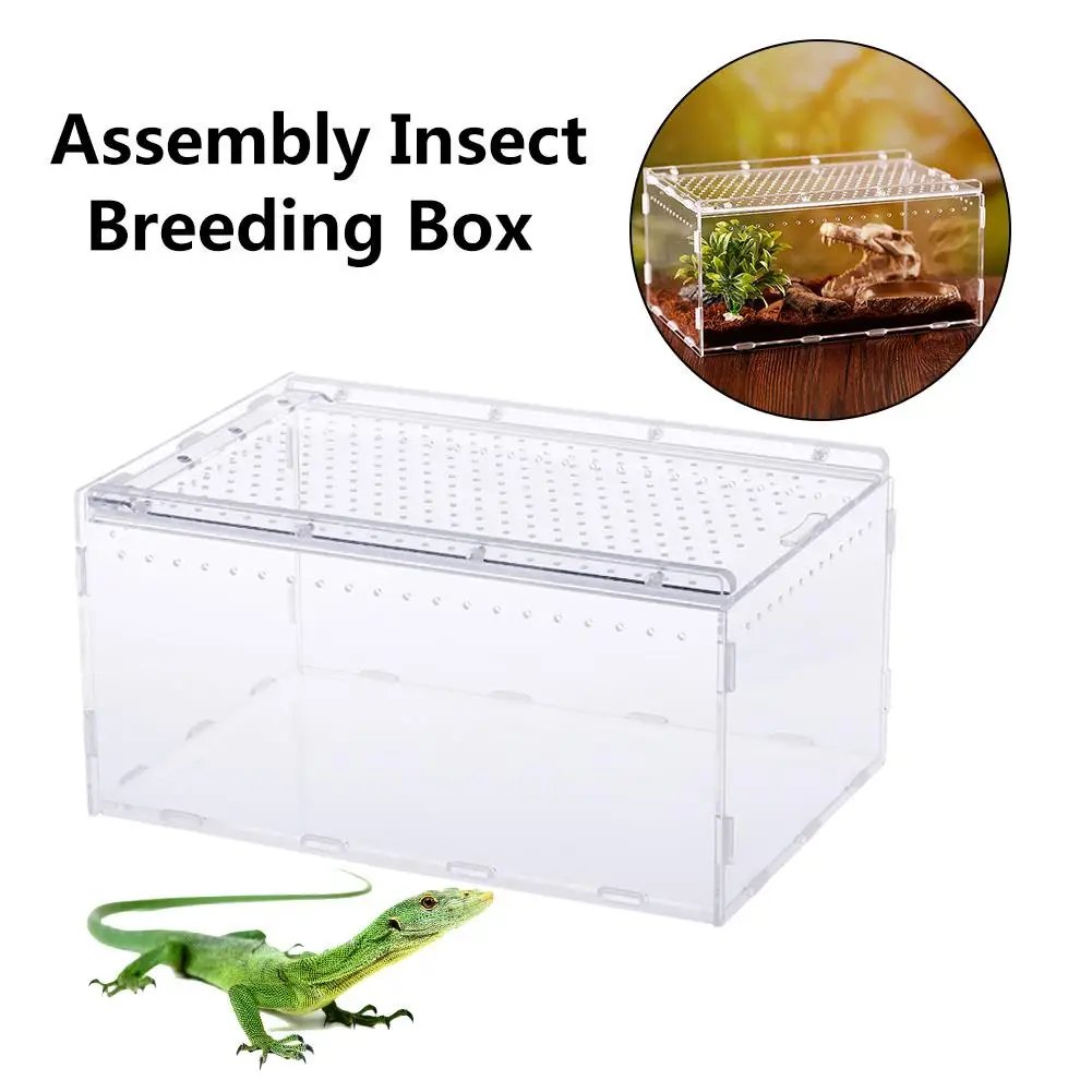 Акриловая коробка для разведения рептилий прозрачная панорамная миска для кормления малышей от насекомых для змеи, ящерицы, ящерицы, Скорпиона, Цельсия