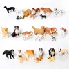 Simulation retriever,Bernese,Great Dane,Saint Bernard,Boxer,Bull Terrier dogs Family animal model Action Figures Kids Toys Set ► Photo 3/6