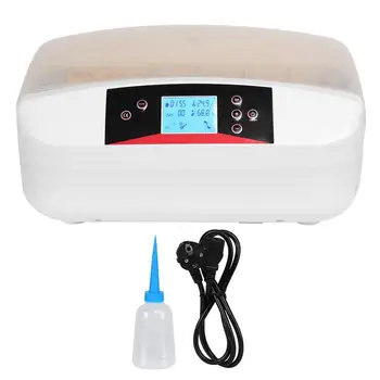 

New 32 Eggs Single Power Small Home Chickens Ducks Birds Full Automatic Intelligent Egg Incubator with LCD Display Screen Tools