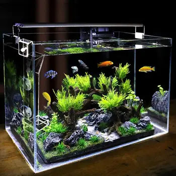 

Solid Clear Acrylic Assembled Shrimp Feeder Tube Shrimp Fish Food Dispenser Tray for Fish Tank Aquarium Crystal Shrimp