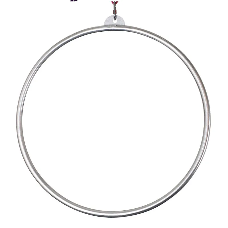 Single Point Lyra Hoop, 17 Inch Small Aerial Hoop for Kids/Adults/Beginners, Mini Stainless Steel Circus Aerial Yoga Hoop