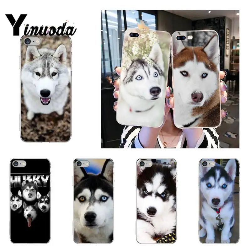 Чехол для телефона Yinuoda с изображением щенка Хаски iPhone 12 8 7 6 X XS MAX 6S Plus XR 11 11pro promax