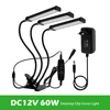 DC12V 60W