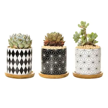 

Succulent Plant Pots, Small Modren Pattern Flower Ceramic Planter Indoor with Ba