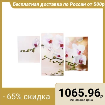 

Modular picture on a stretcher "Blooming Orchid", 30 × 35, 30 × 46, 30 × 56 cm, 90 × 56 cm