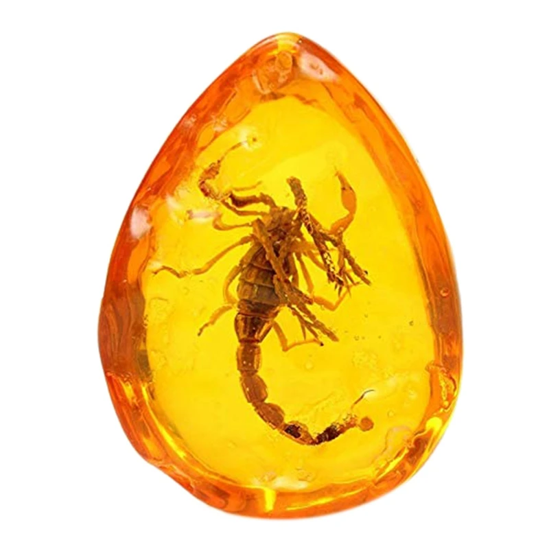 

Fashion Natural Insects Amber Gemstone Ornament Originality Scorpions Butterfly Spider Crab Decorations With Holes Pendant Diy C