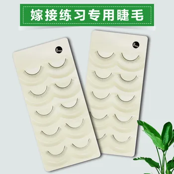 

New Beauty Eyelashes Graft Eyelashes Practice False Eyelashes Suit Beginners Natural Model Cultivation Training College Tool