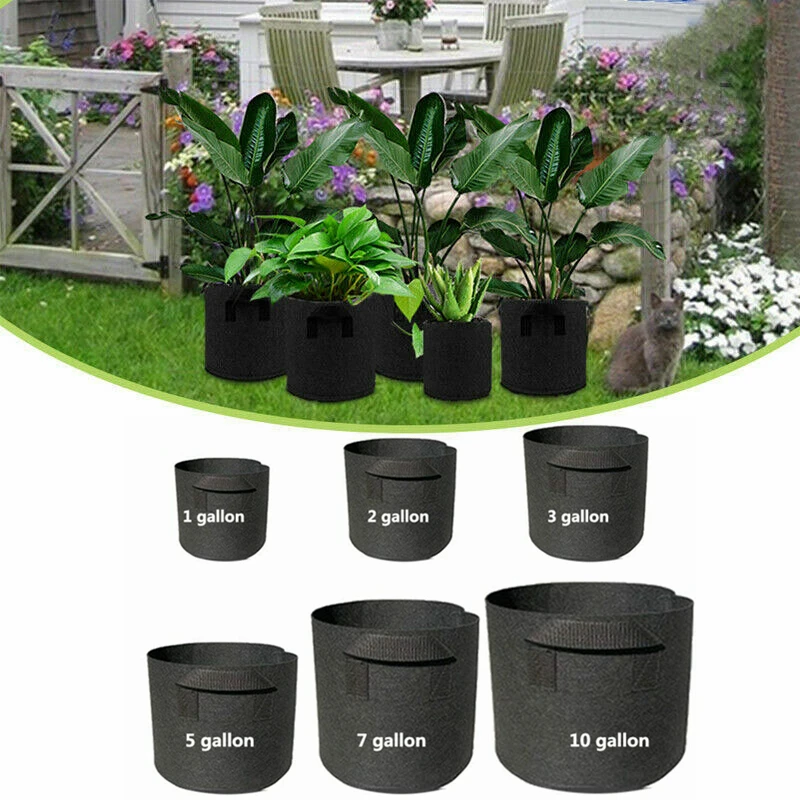 10 Gallon Grow Bag ubicaciondepersonas.cdmx.gob.mx