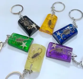 

10 pcs Scorpion Insect Mixed Colorful Color KeyChain Taxidermy Display