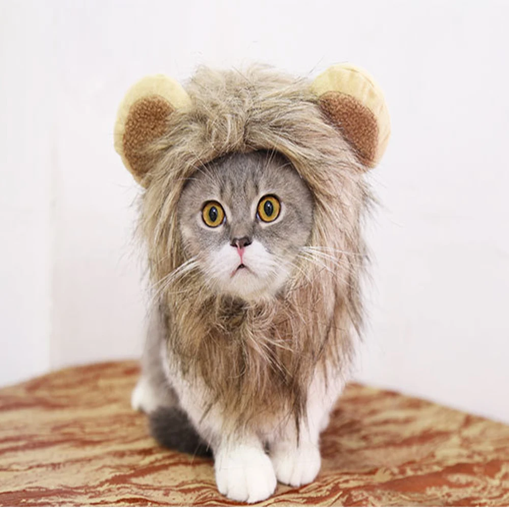 Cats In Lion Costumes cats-in-lion-costumes