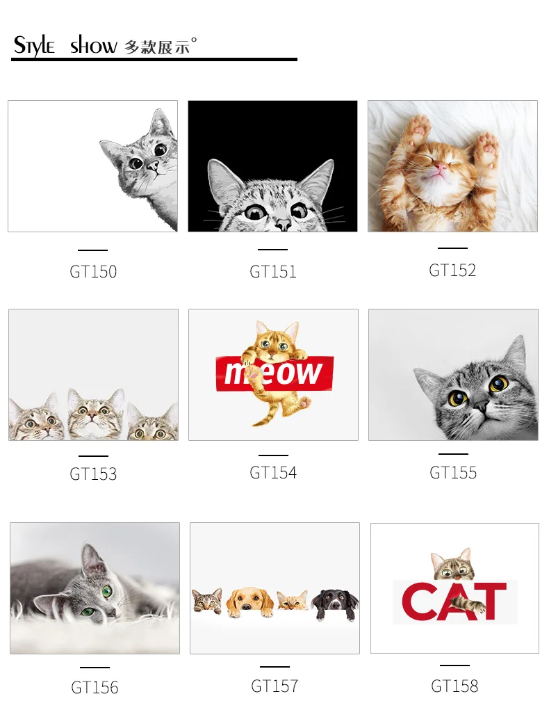 O1CN01sxFLZb1j20TFXTFUz_!!2216054489