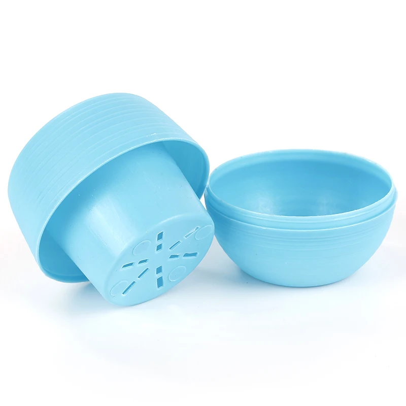 Цветные мини горшечные растения для украшения офиса оптовая продажа цветочные