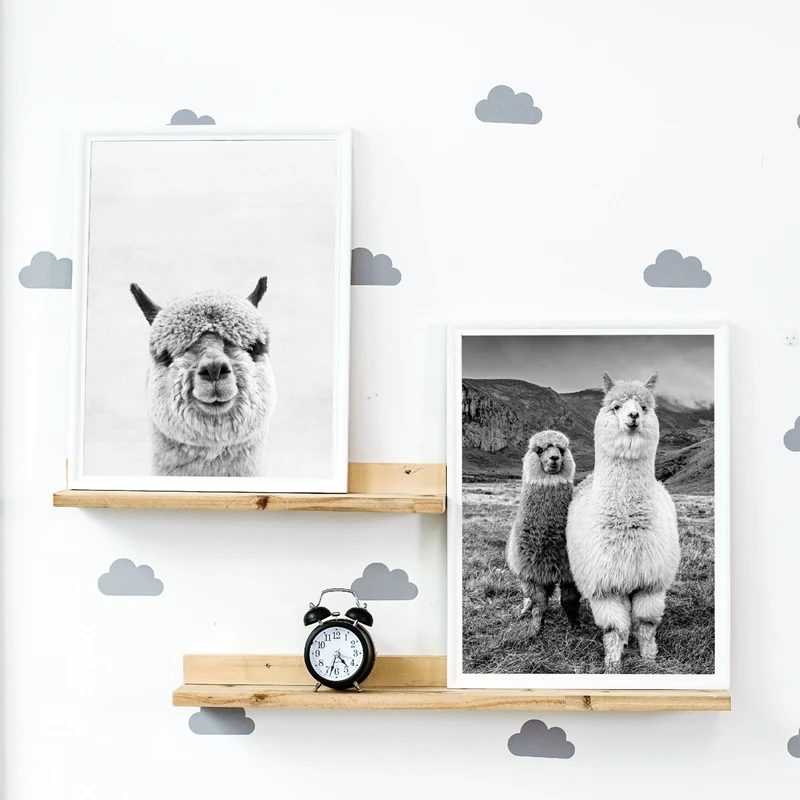 Животные Альпака художественный принт и постер фотография холст картина Картина