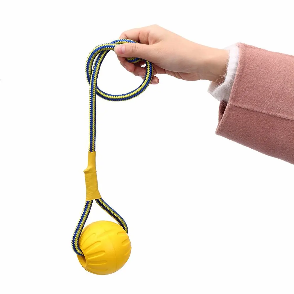

Safe And Durable Eva Pet Ball Training Toy Dog Wearing A Rope Solid Bouncy Ball Training Dog Training Dog Pet Throwing Ball