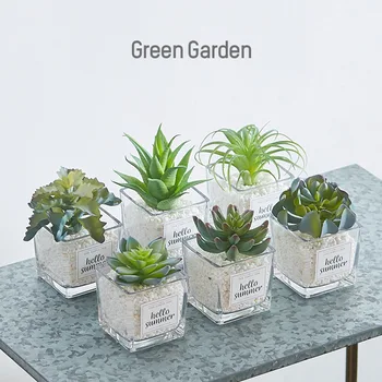 

2020 Fake Cactus Northern European-Style Green Plant Desktop Simulation Multi-meat Potted Plant Decoration Living Room Window In