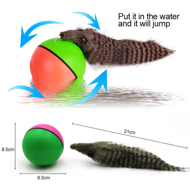 Funny Pet Dog Cat Toy Electric Beaver Weasel Rolling Ball Toy Pet Supplies for Puppy Dogs Moving Toys New 6