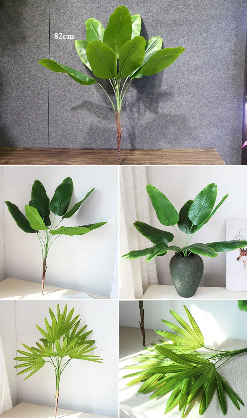 5芭蕉树