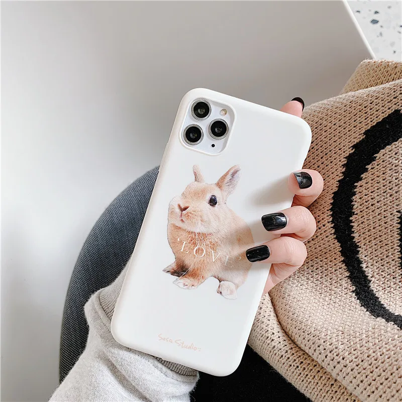 A Прекрасный чехол для телефона с кроликом для iphone 11 11Pro Max для iphone X XR XS Max 7 8 6 6S Plus Матовый Мягкий ТПУ чехол capa - Цвет: A