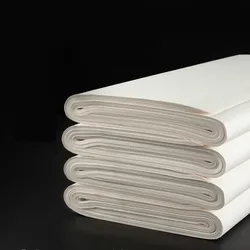Painting Rice Paper 100sheets Papel Arroz Beginner Calligraphy Painting Practice Xuan Paper Chinese Raw Half Ripe Xuan Paper