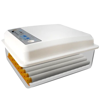 

Full-automatic Small Household Water Bed Incubator Peacock Duck Goose Egg Quail Chicken incubadora couveuse
