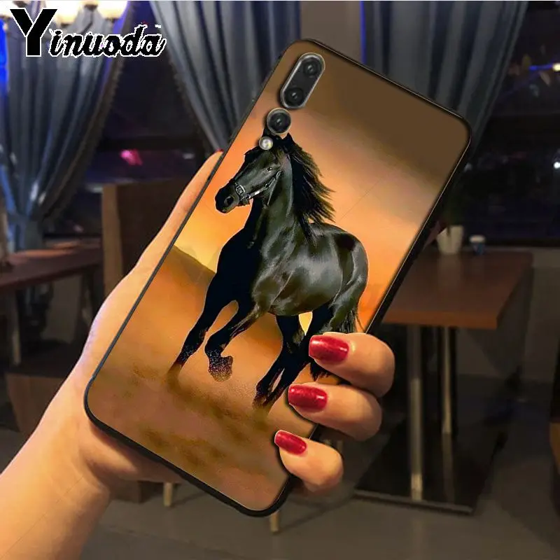 Hot running Horses animal