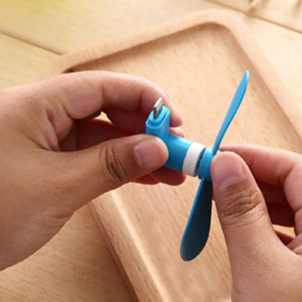 DQ367303-C-20190437-1