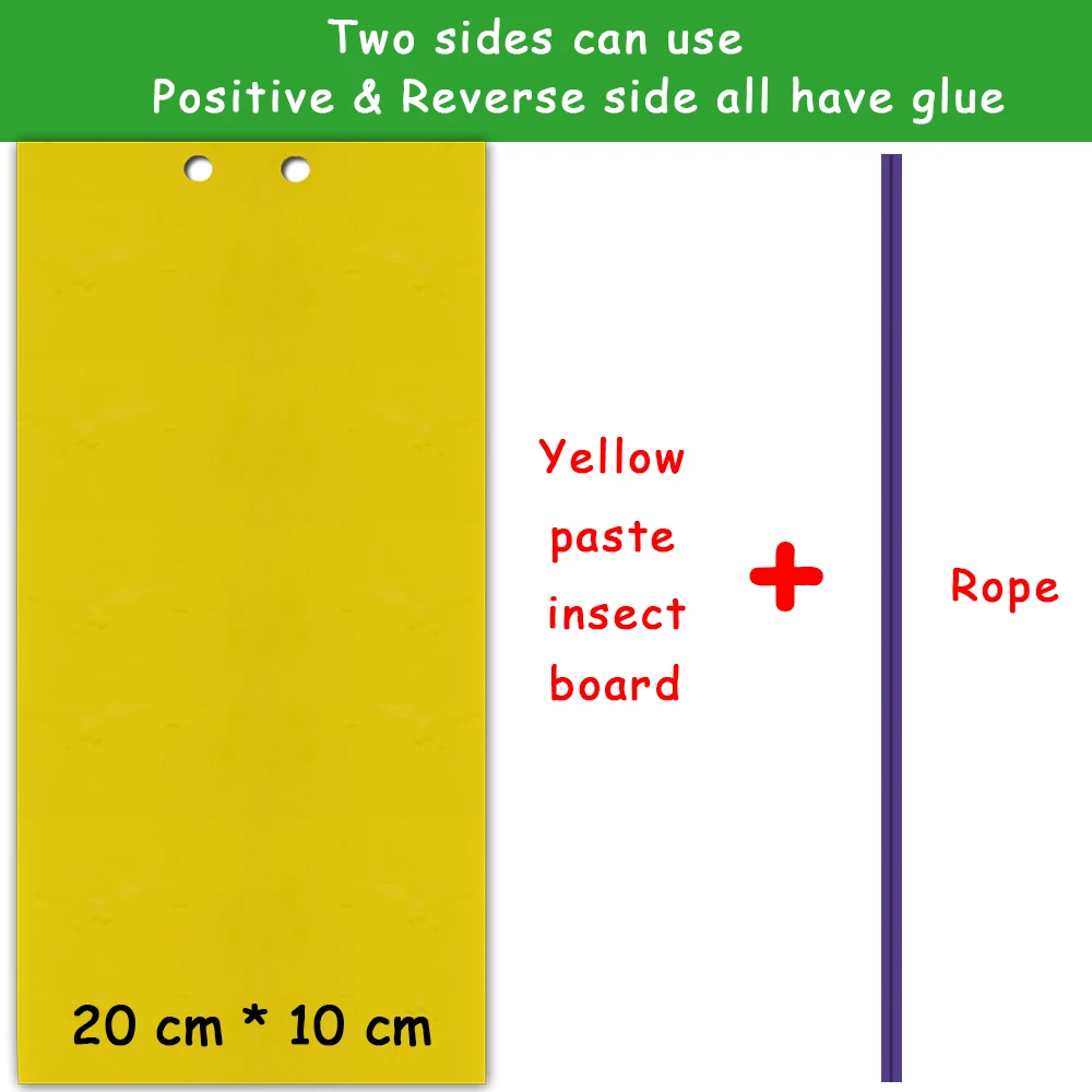 粘虫板01 (3)