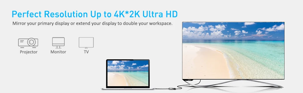 f7e55d66-53eb-43ad-96cf-e93554ee4ce5.__CR0,0,970,300_PT0_SX970_V1___