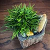 Basalt FlowerPot Succulent Plant Nursery Planter Natral Stone Vase Decoration Home Table Craft Bonsai Garden Decor New Year Gift 5