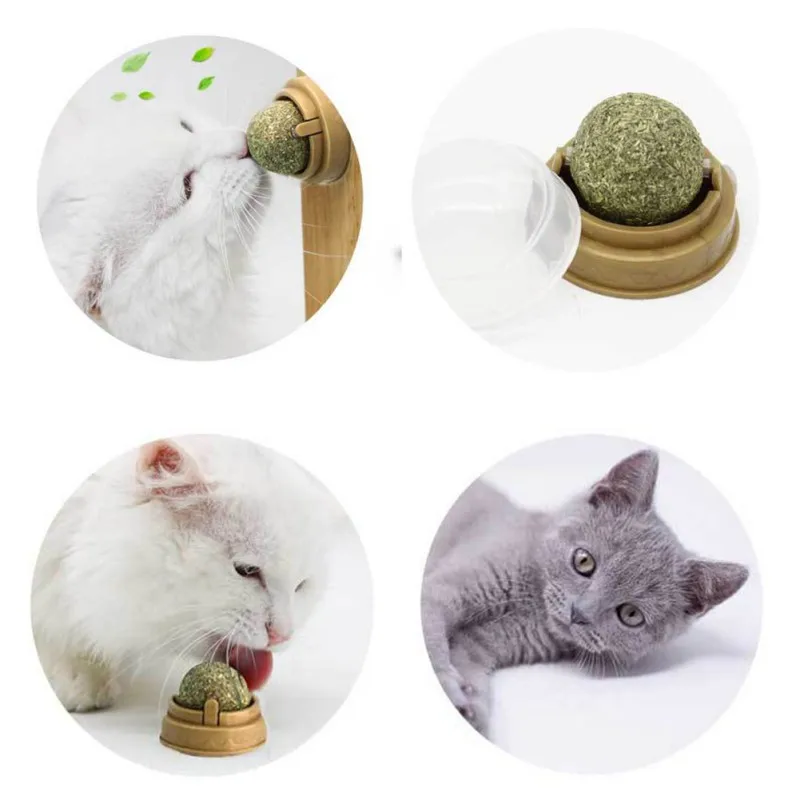 Игрушка для кошек, натуральная кошачья мята, мячик для лечения, домашние игрушки для питомцев, здоровые, пищевые игрушки для лечения кошек, игрушки для чистки зубов
